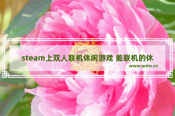 steam上双人联机休闲游戏 能联机的休闲手游游戏推荐