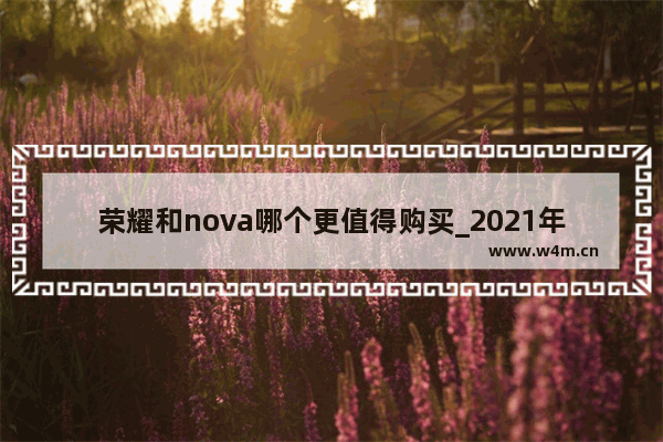 荣耀和nova哪个更值得购买_2021年华为和荣耀哪个手机值得买