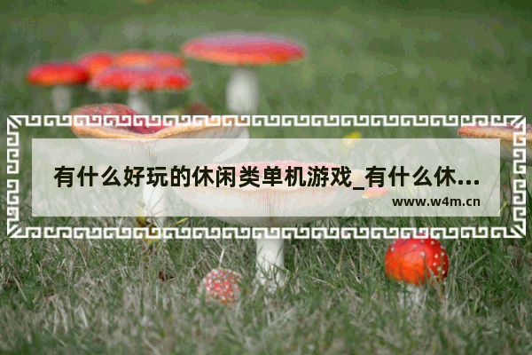 有什么好玩的休闲类单机游戏_有什么休闲策略游戏推荐