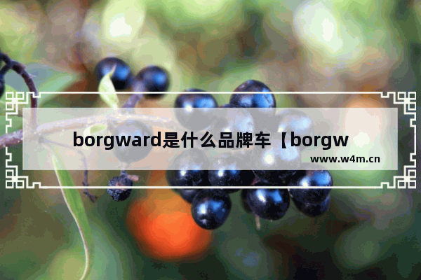 borgward是什么品牌车【borgward是什么品牌车多少钱】