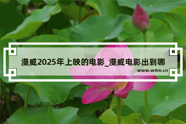 漫威2025年上映的电影_漫威电影出到哪一部了