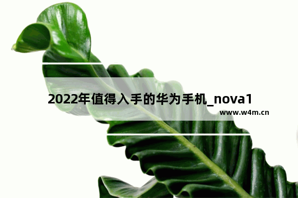 2022年值得入手的华为手机_nova10se为什么被称为神机