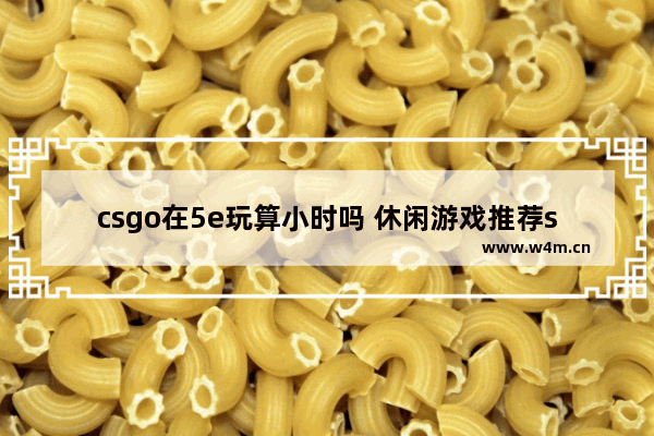 csgo在5e玩算小时吗 休闲游戏推荐steam