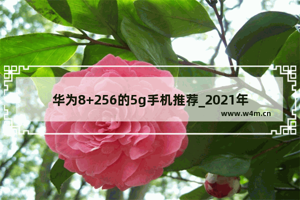 华为8+256的5g手机推荐_2021年华为5g手机2500元左右价格的哪款手机好