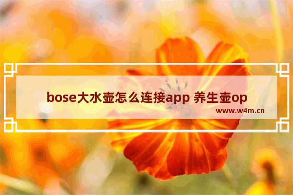 bose大水壶怎么连接app 养生壶open