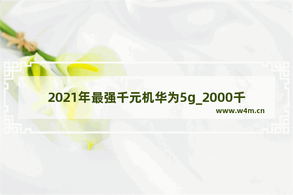 2021年最强千元机华为5g_2000千元左右华为手机都有哪些