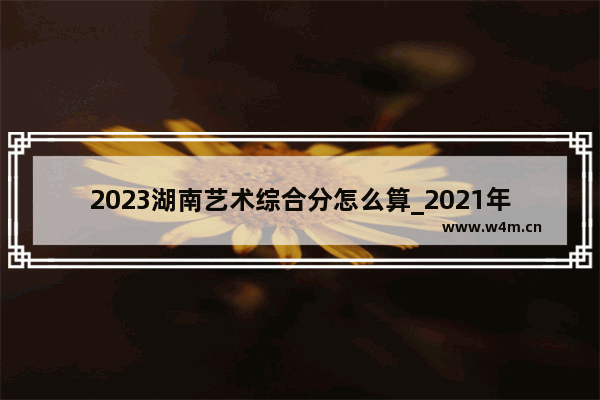 2023湖南艺术综合分怎么算_2021年湖南艺术生本科线