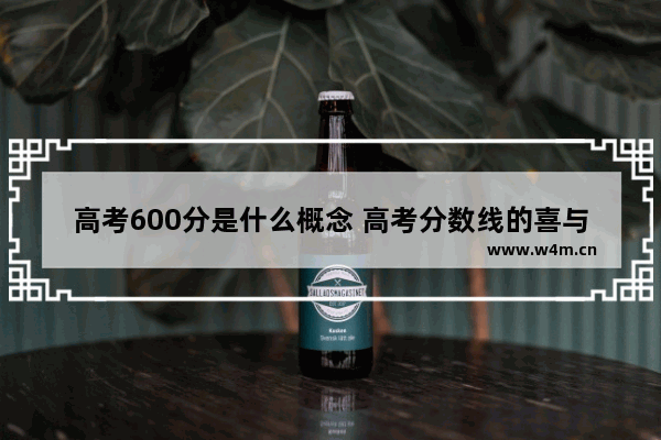 高考600分是什么概念 高考分数线的喜与悲