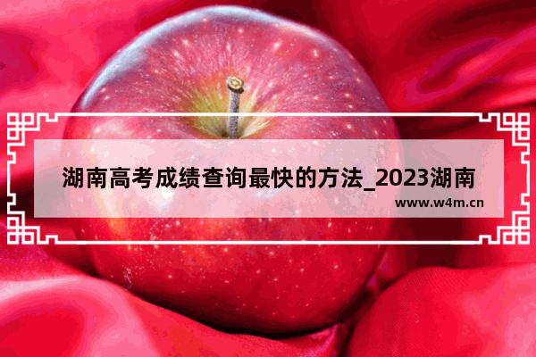 湖南高考成绩查询最快的方法_2023湖南高考成绩会发短信通知吗