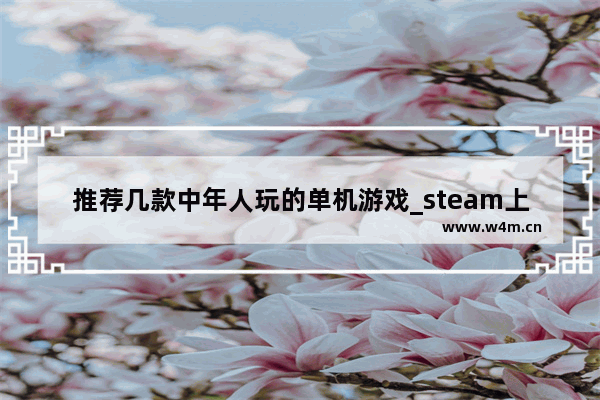 推荐几款中年人玩的单机游戏_steam上男人最爱便宜的单机游戏