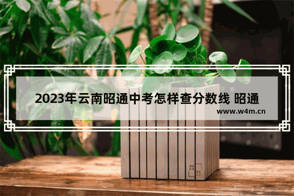 2023年云南昭通中考怎样查分数线 昭通各县市高考分数线