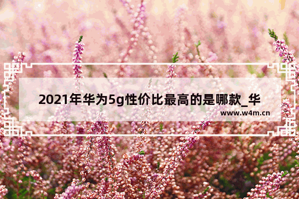 2021年华为5g性价比最高的是哪款_华为畅享50和华为nova5z哪款好