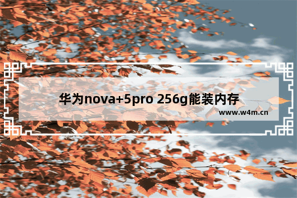 华为nova+5pro 256g能装内存条吗 华为最新5 g手机推荐