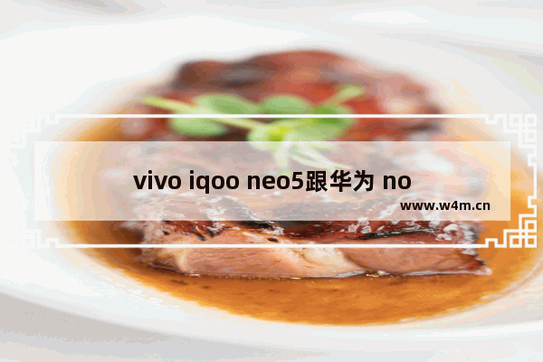 vivo iqoo neo5跟华为 nova9哪个好 华为5 g手机推荐新款