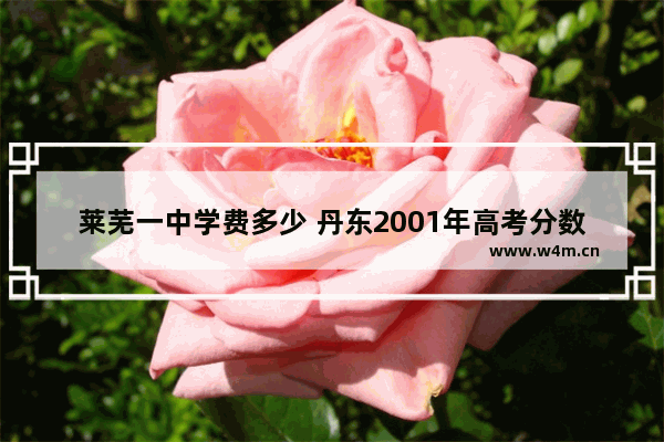 莱芜一中学费多少 丹东2001年高考分数线