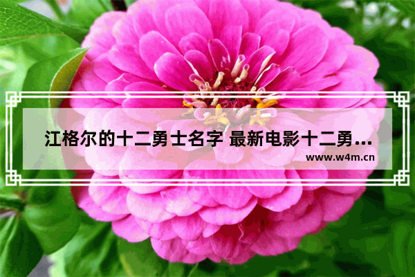 江格尔的十二勇士名字 最新电影十二勇士豆瓣评分多少