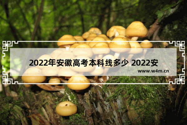 2022年安徽高考本科线多少 2022安微省高考分数线