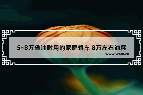 5~8万省油耐用的家庭轿车 8万左右油耗低新车推荐哪款好开点