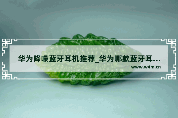 华为降噪蓝牙耳机推荐_华为哪款蓝牙耳机性价比最高