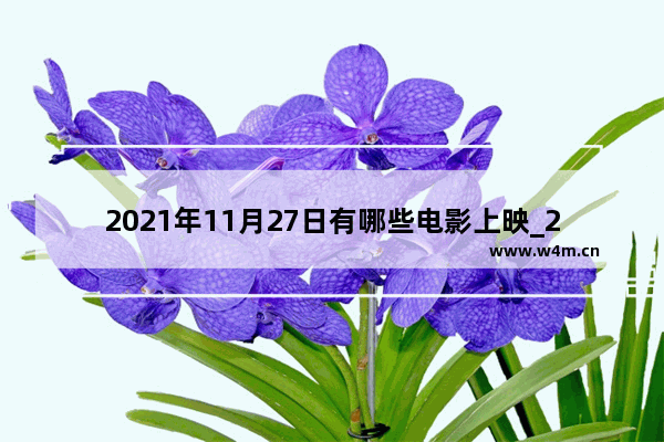 2021年11月27日有哪些电影上映_2021年11月到12月上映的科幻电影