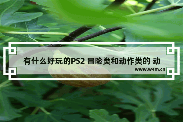 有什么好玩的PS2 冒险类和动作类的 动作冒险游戏推荐好玩的有哪些