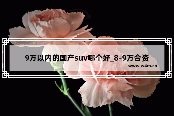 9万以内的国产suv哪个好_8-9万合资车还是国产车