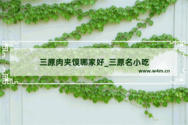 三原肉夹馍哪家好_三原名小吃