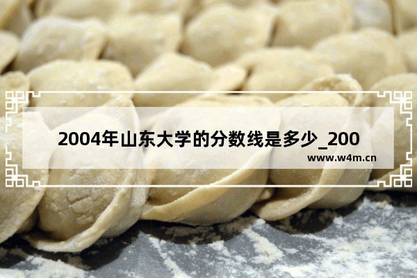 2004年山东大学的分数线是多少_2004年哈师大录取分数线