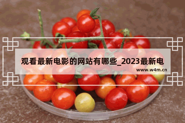 观看最新电影的网站有哪些_2023最新电影都有哪几部