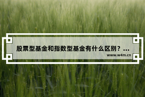 股票型基金和指数型基金有什么区别？哪个风险小 主动股票投资策略