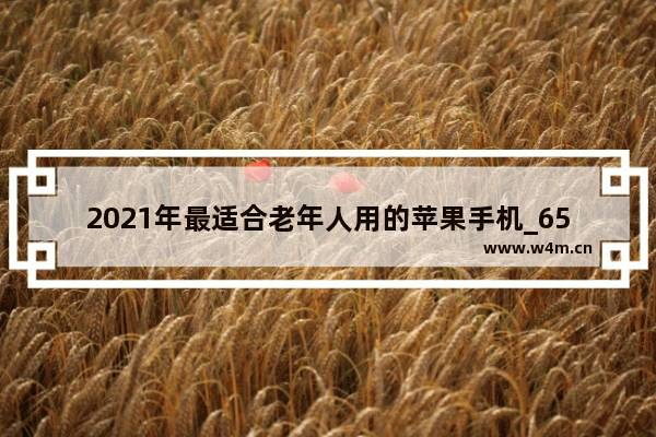 2021年最适合老年人用的苹果手机_65岁的老人买哪款智能手机比较好