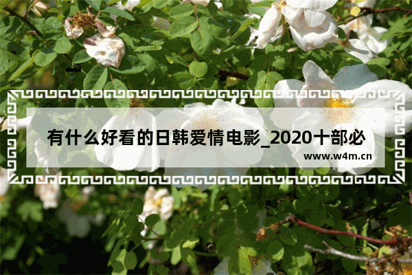 有什么好看的日韩爱情电影_2020十部必看国产的电影免费