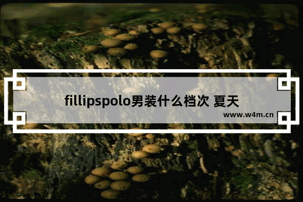 fillipspolo男装什么档次 夏天美式穿搭男士