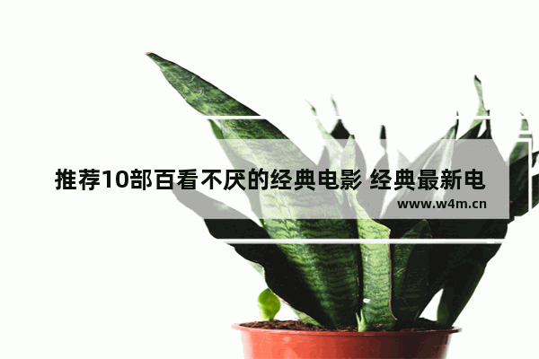 推荐10部百看不厌的经典电影 经典最新电影推荐