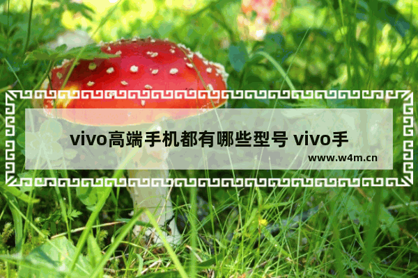 vivo高端手机都有哪些型号 vivo手机推荐高端