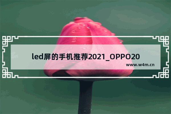 led屏的手机推荐2021_OPPO2021中低端手机上市时间