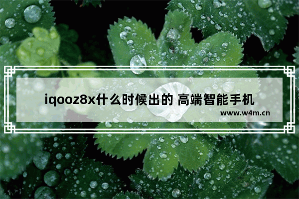 iqooz8x什么时候出的 高端智能手机推荐一下