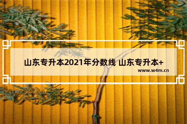 山东专升本2021年分数线 山东专升本++++分数线