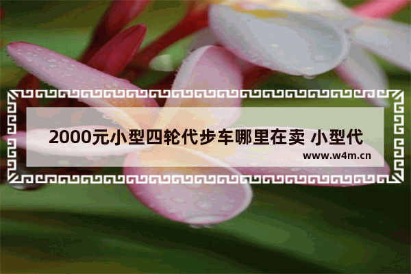 2000元小型四轮代步车哪里在卖 小型代步新车推荐哪款