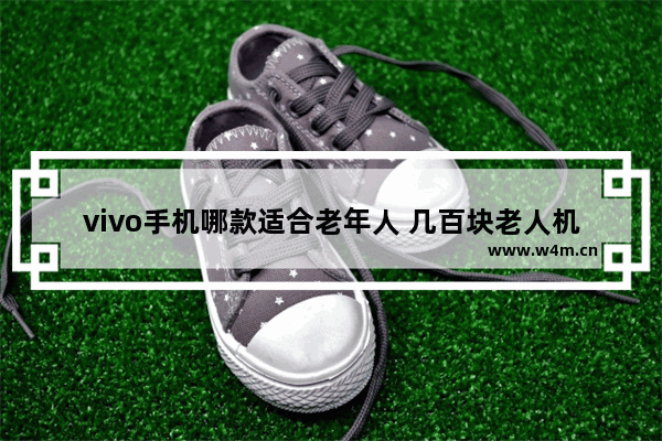 vivo手机哪款适合老年人 几百块老人机手机推荐vivo