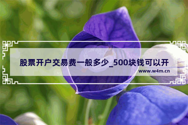 股票开户交易费一般多少_500块钱可以开户炒股了吗