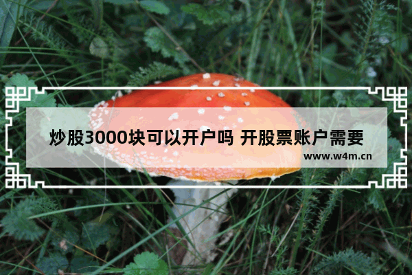 炒股3000块可以开户吗 开股票账户需要多久