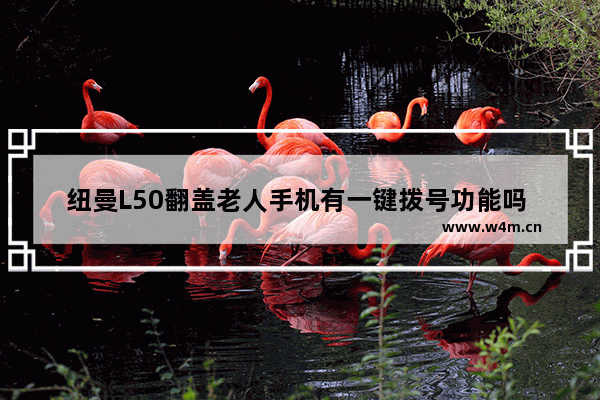 纽曼L50翻盖老人手机有一键拨号功能吗 老人机手机推荐翻盖机型有哪些