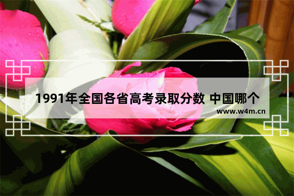 1991年全国各省高考录取分数 中国哪个地区高考分数线高