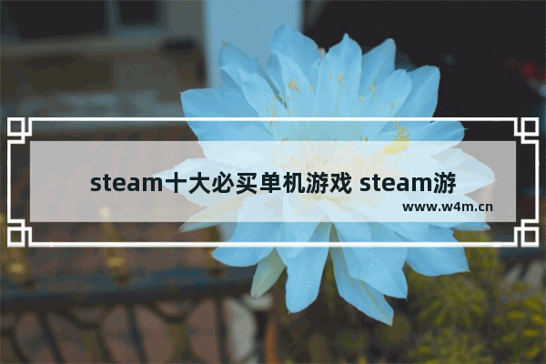 steam十大必买单机游戏 steam游戏推荐休闲单机