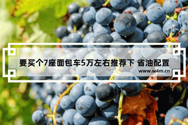 要买个7座面包车5万左右推荐下 省油配置高 5万左右省油新车推荐哪款好开