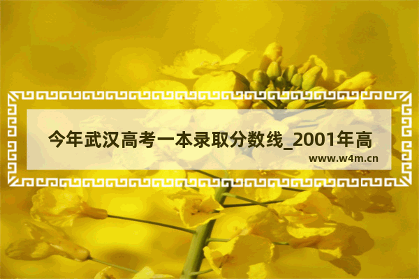 今年武汉高考一本录取分数线_2001年高考武大录取分数线