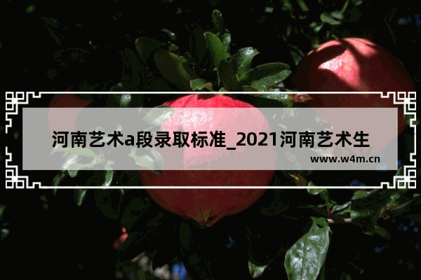 河南艺术a段录取标准_2021河南艺术生本科录取分数线