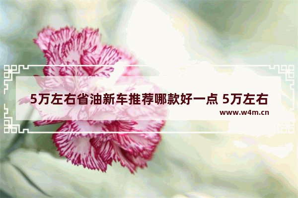 5万左右省油新车推荐哪款好一点 5万左右省油新车推荐哪款好一点