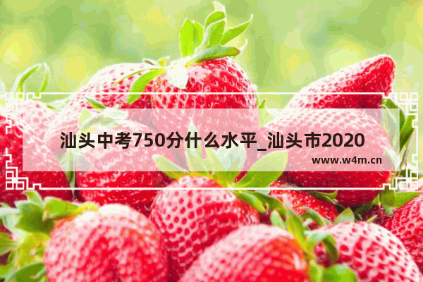 汕头中考750分什么水平_汕头市2020年中考录取分数线